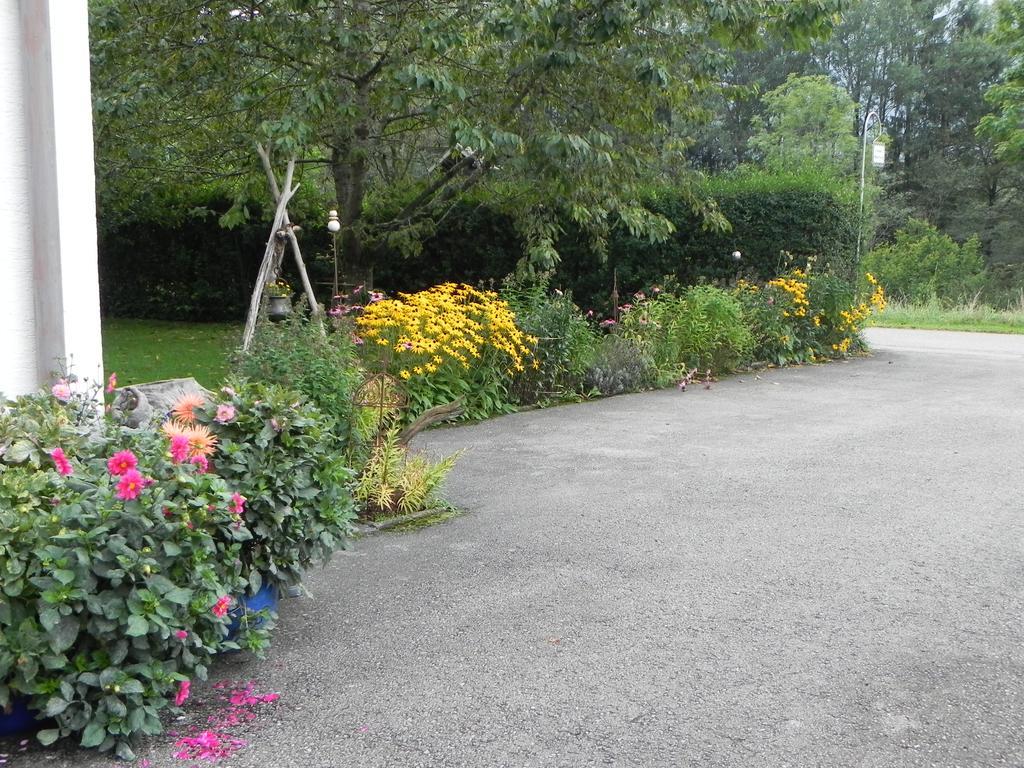 Ferienwohnung Schautzgy Reutte Exterior foto